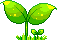 Sprout animated emote - Ink & Espresso
