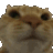 cat_no animated emote - ATGs (All The Gamers)