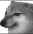 huhhh custom emote - Lovers Cafe™ | Indian Discord Server • Nitro • Voice Chat • Active • India • Hangout • Gaming • SFW