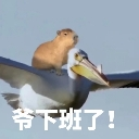 capybaraflyinggg Discord sticker | 遊戲小鎮