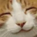 lbc_KittyHappy Discord Emoji | Pee House