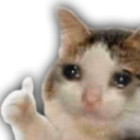 sad_ok Discord sticker - Secret Cult of Bakchods🥷