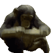 MODS animated Discord emote | Realm Explorer | Find & Promote