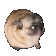 pugPls animated emote - bộ tộc ciệt đập chai