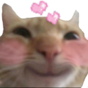 CC_Cat_LoveHappy custom emote | INFERNO