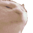 Cattodisco animated GIF emoji | Optimum Realism