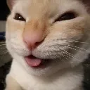 265_eww Discord Emoji | Rabbit Hole