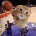 cat_baller Discord sticker | 𝗖𝘂𝗱𝗱𝗹𝘆 𝗖𝗿𝗶𝘁𝘁𝗲𝗿𝘀