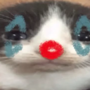 Clowncat custom emote - Nova Luna (新月)