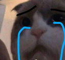 A cat with crudely drawn blue tears and black eyebrows looking intensely sad.