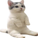 catsittingverycomfortable custom emote - Besties Community