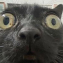 Wut Discord sticker from The 1woners