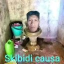 A human head emerging from a toilet bowl with the text Skibidi Causa overlaid at the bottom.