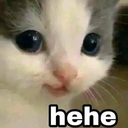 hehecat custom emote from Cyberpunk Syndicate ☁୨ৎ