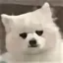 Dog custom emote - ✨КиберЛапки🎮