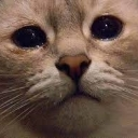 emo custom emote | 遊戲小鎮