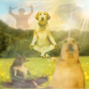 A dog sits in a meditative lotus position in a bright, ethereal field while other dogs appear in the background.