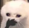 ohmy custom emote from Optimum Realism