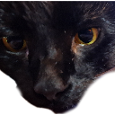 catdaddy Discord sticker from JamWith
