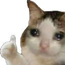 sadcat Discord sticker - 『🇧🇦🇷🇴』𝙍𝙊𝘽𝙊𝙎𝙉𝙄𝘼 𝘾𝙊𝙈𝙈𝙐𝙉𝙄𝙏𝙔