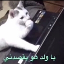 emoji_30 Discord sticker from كبار الشريطيه | H 1
