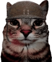 87691catsoldjacat custom emote | MANAVA MULTIVERSE