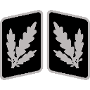 SSBrigadefhrer_Collar_Rank Discord Emoji - Macuspana Empire