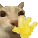 440591catwave animated emote | Chi on air