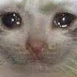 sadcat Discord Emoji | ATGs (All The Gamers)