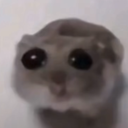 stinker custom emote | ۶ৎ　‿　cemetery　 ݁ 　˖