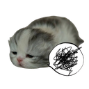 emojigg_cat Discord Emoji - Heart.exe