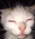 eepy Discord Emoji | /r/christians