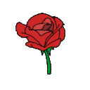 Rose animated Discord emote - 𝙈𝙆丨مـنـتـدى الـمـمـلـكـة 𝚂𝚎𝚊𝚜𝚘𝚗 𝟸