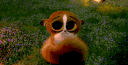 emoji_163 animated GIF emoji from Anime Empire