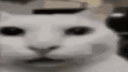 maxresdefaultstare Discord sticker from COMMEZARS