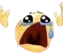 crying custom emote - The Z's