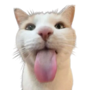 catmel Discord sticker | Reality Awaits