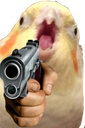 angryborbwithgun custom emote from Niveous Gaming