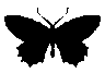 emoji_40 animated Discord emote | 𝐒𝐇𝐀𝐍𝐓𝐀 𝐒𝐎𝐌𝐀𝐋𝐈