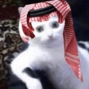 CatA7lf Discord sticker - TurkixG1 Community