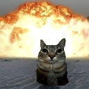 catbumbum custom emote | 𝘙𝘌𝘈𝘓𝘐𝘛𝘠 𝘈𝘞𝘈𝘐𝘛𝘚... but after 24.7