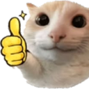 CattoThumbsup Discord Emoji - DM Request 📪 ⌇ Ask To DM & Chatting ⌇ Non Dating ⌇ Social ⌇ Friendly ⌇ Nitro ⌇Non Toxic