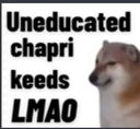 Xieron_stolen_emoji_1783834120 custom emote | SKYFLOW ESPORTS