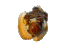 16838chilidog animated GIF emoji from Lovescape