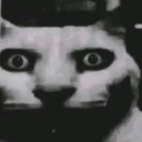 catscarred4life Discord Emoji | Besties Community