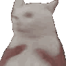 catShake animated emote | Lucid Love ☾  Relationship ⭑ Social ⭑ Gaming ☽