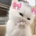 Xieron_stolen_emoji_1779296720 Discord sticker from Vrindavan | 💗👀