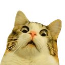 34 Discord Emoji | 🦄🌸Gatos Cósmicos🌸🦄