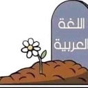 A tombstone labeled with Arabic text stands in a mound of dirt with a single white flower growing in front of it.