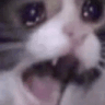 Flud_Cat_Cry_Screech animated GIF emoji - Pandora Services